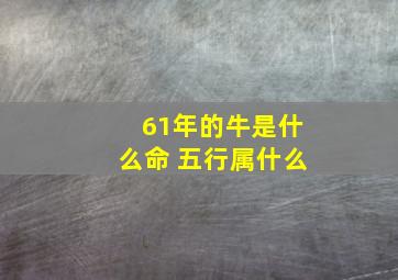 61年的牛是什么命 五行属什么